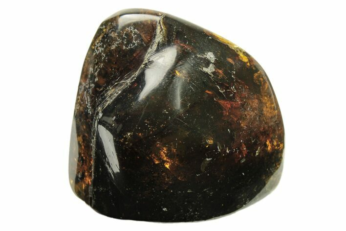 Polished Chiapas Amber ( g) - Mexico #274427